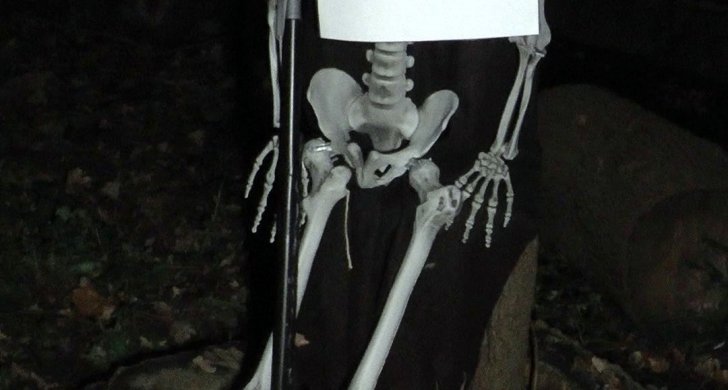 strašidelný les4.jpg